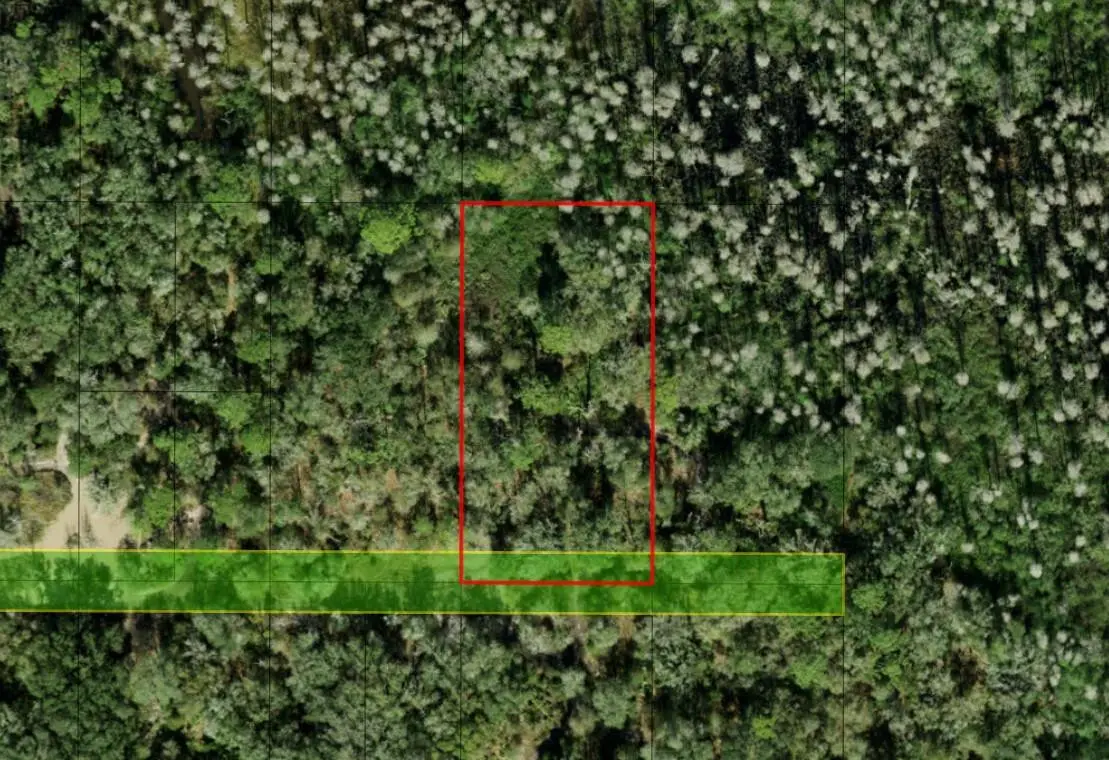 0 County Rd 54, Kathleen, FL 33849 - Image #1