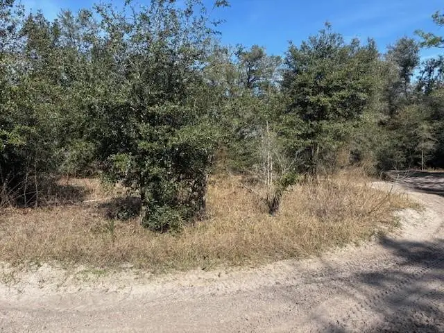 0 County Rd 54, Kathleen, FL 33849 - Image #3