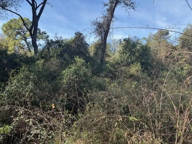 0 County Rd 54, Kathleen, FL 33849 - Image #3