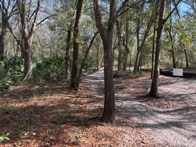 0 County Rd 54, Kathleen, FL 33849 - Image #3