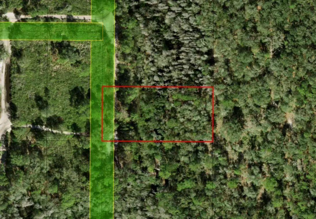 0 County Rd 54, Kathleen, FL 33849 - Image #1