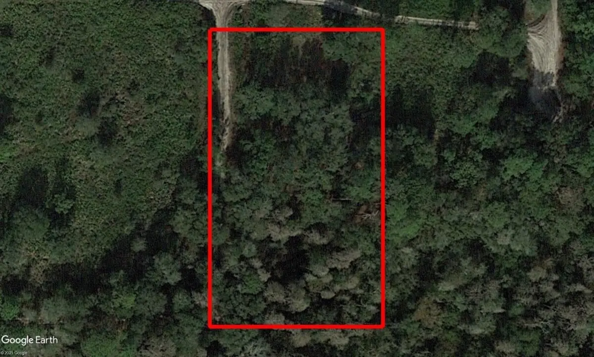 0 County Rd 54, Kathleen, FL 33849 - Image #1