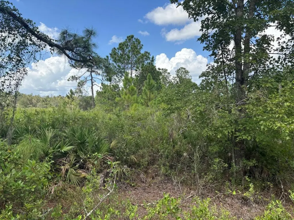 0 County Rd 54, Kathleen, FL 33849 - Image #1