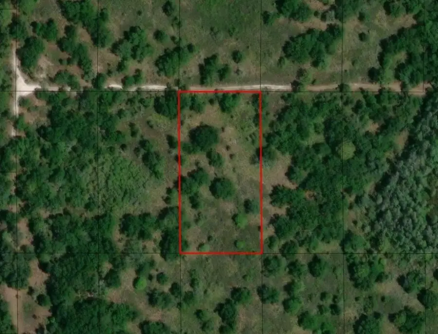0 County Rd 54, Kathleen, FL 33849 - Image #3