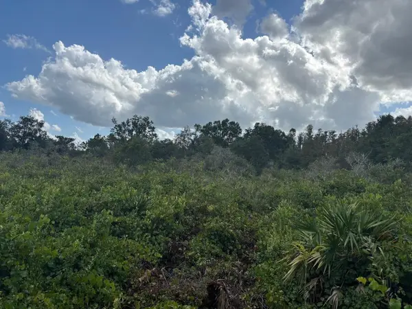 0 County Rd 54, Kathleen, FL 33849