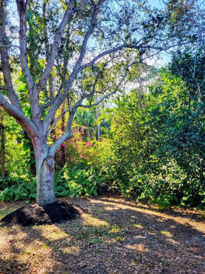 2585 SE Marseille St, Port Saint Lucie, FL 34952 - Image #3