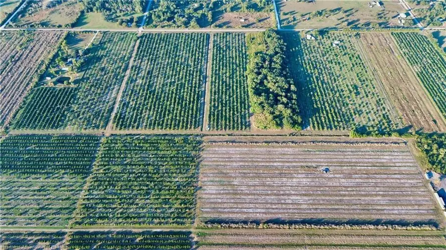 1050 Arbuckle Creek Road, Lorida, FL 33857 - #3