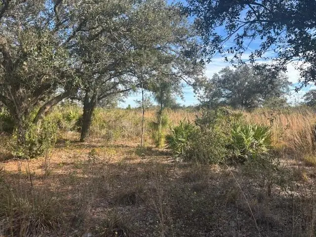 20787 NW 244th Street, Okeechobee, FL 34972 - Image #3