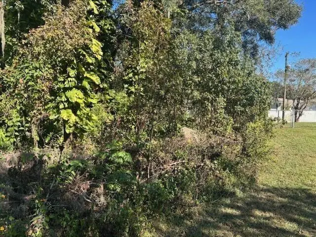 0 Maple Hill Court, Lakeland, FL 33811 - Image #1