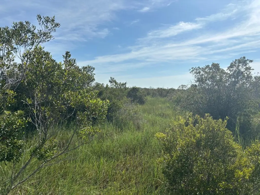 0 NW 308th Street, Okeechobee, FL 34972 - Image #1