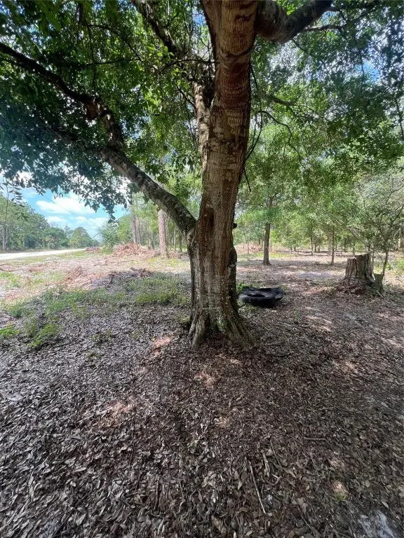 681 N Perimeter Road, Clewiston, FL 33440 - Image #3