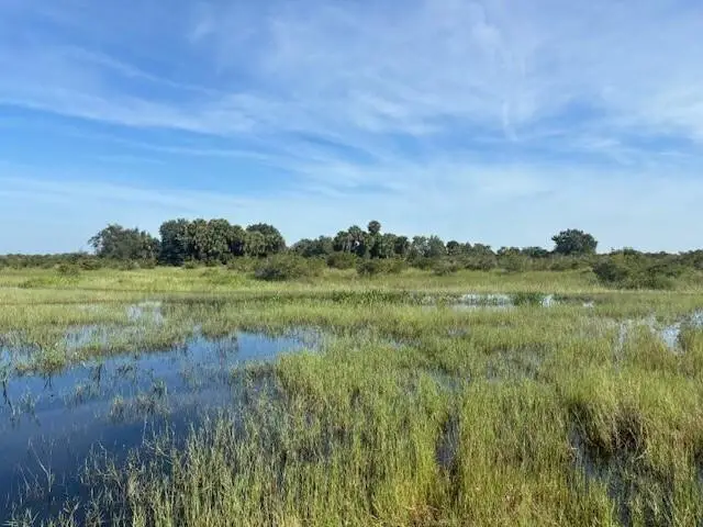 0 NW 308th Street, Okeechobee, FL 34972 - Image #2