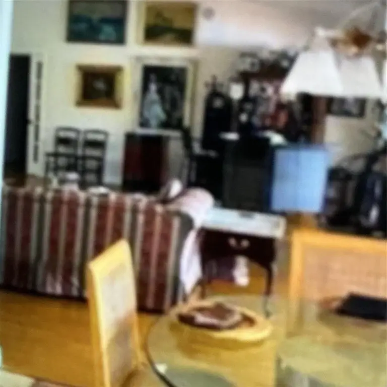 20952 Delagado Terrace, Boca Raton, FL 33433 - Image #3