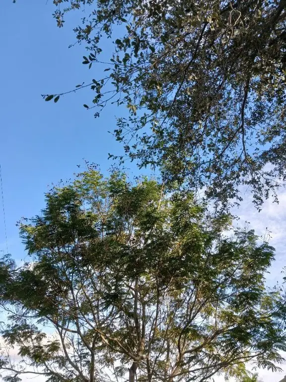 0000 139 Court, Dunnellon, FL 34432 - Image #2