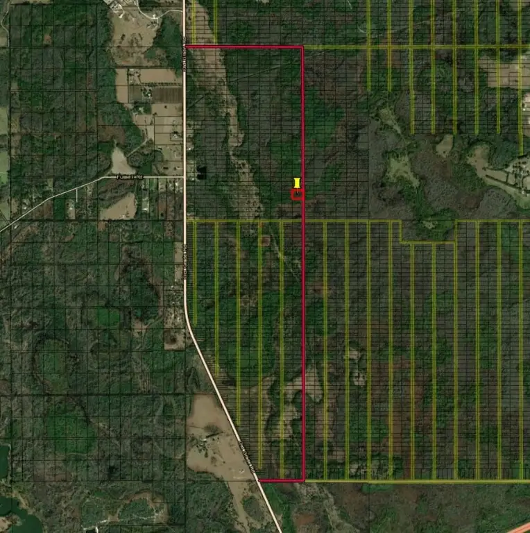 0 Old Grade Road, Polk City, FL 33868 - Image #2