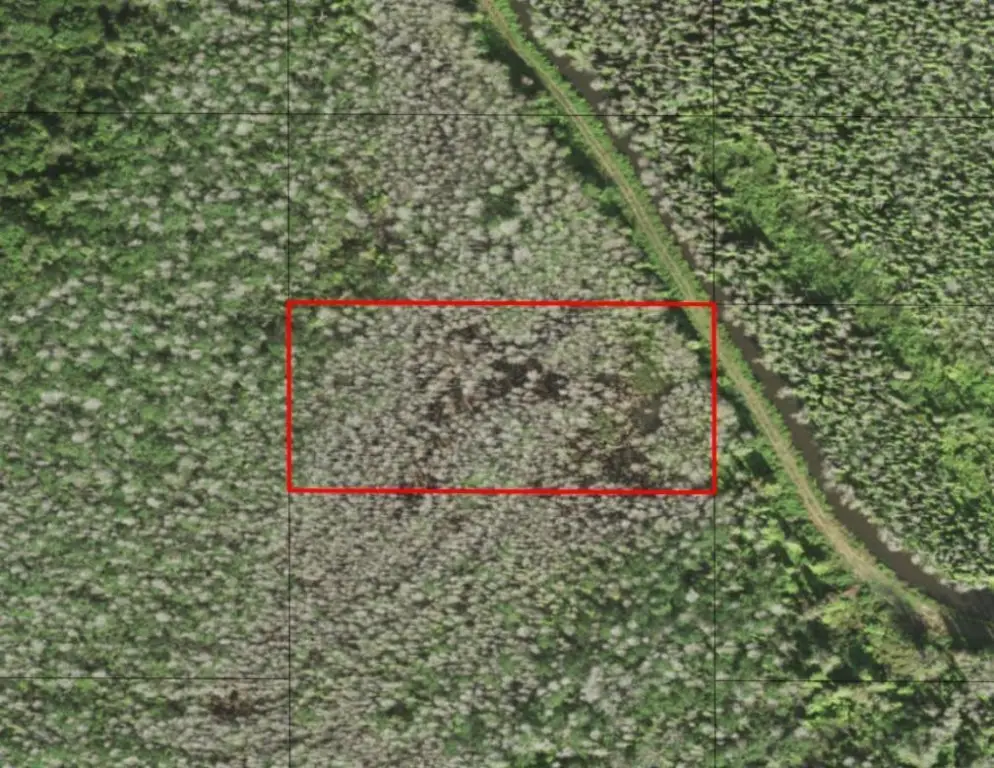 0 Holopaw Groves Road, Saint Cloud, FL 34772 - Image #1