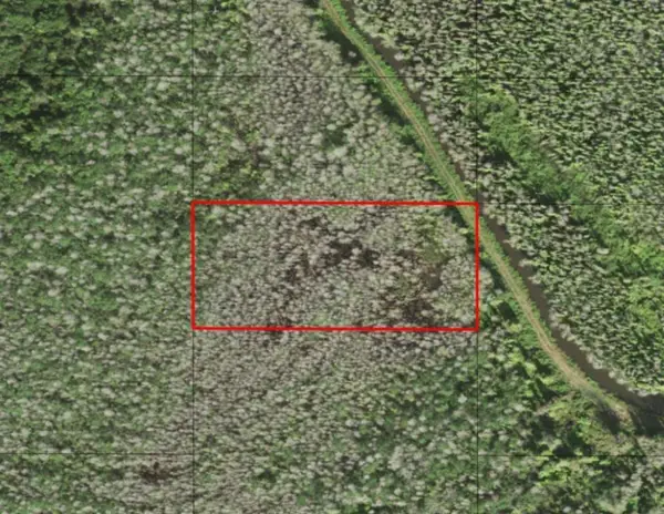 0 Holopaw Groves Road, St Cloud, FL 34772