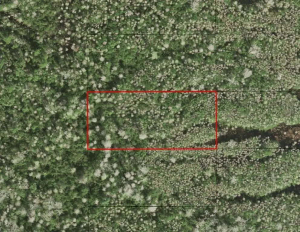 0 Holopaw Groves Road, Saint Cloud, FL 34772 - Image #1