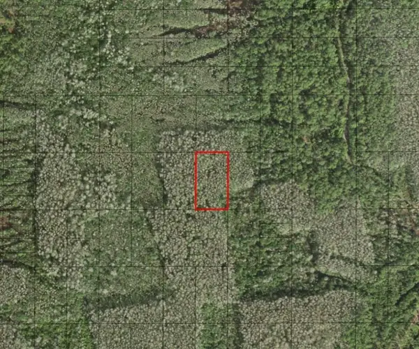 0 Holopaw Groves Road, St Cloud, FL 34772