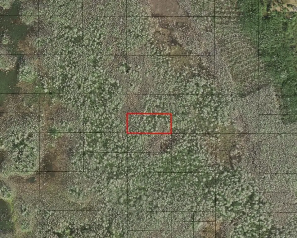 0 Holopaw Groves Road, Saint Cloud, FL 34772 - Image #1