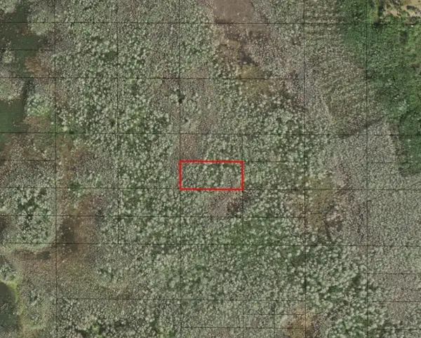 0 Holopaw Groves Road, St Cloud, FL 34772