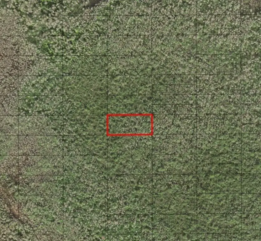 0 Holopaw Groves Road, Saint Cloud, FL 34772 - Image #1