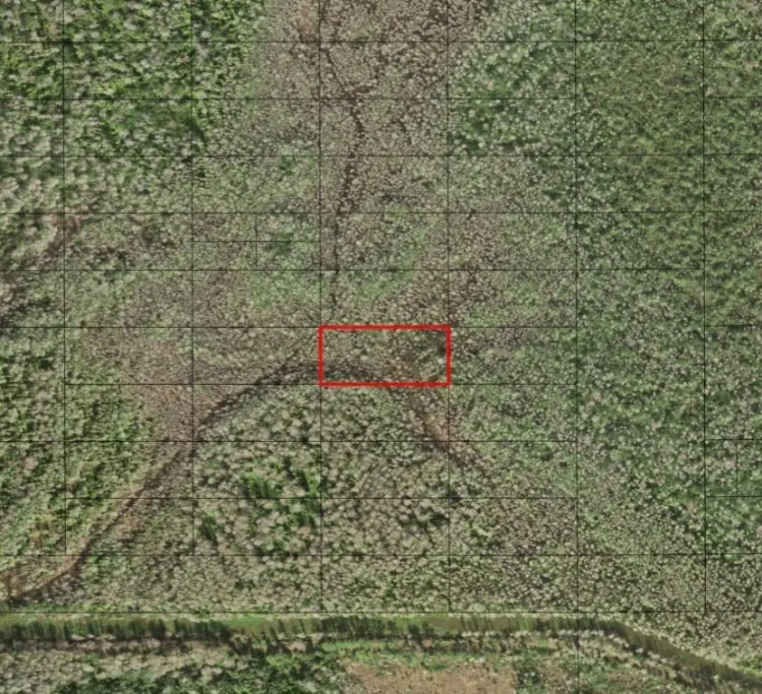 0 Holopaw Groves Road, Saint Cloud, FL 34772 - Image #1