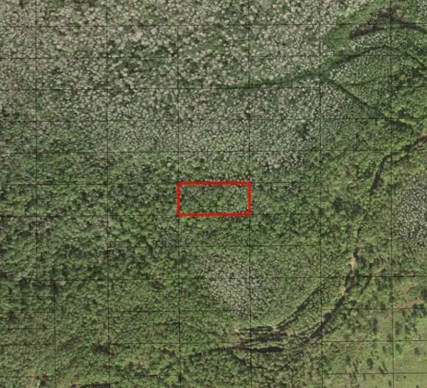 0 Holopaw Groves Road, St Cloud, FL 34772