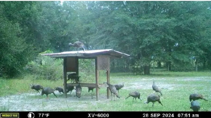 890 SW Applewood Glen, Fort White, FL 32038 - Image #2