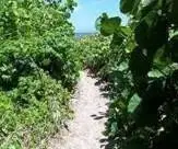 6660 N Ocean Boulevard #1, Ocean Ridge, FL 33435 - Image #3