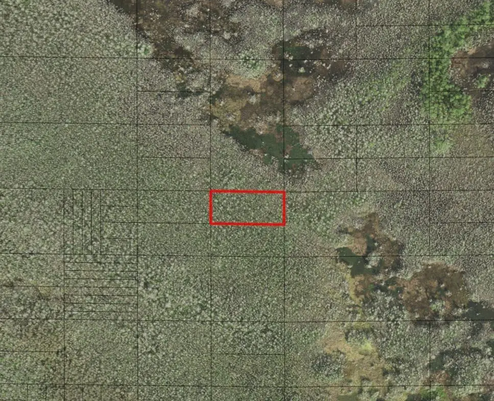 0 Holopaw Groves Road, Saint Cloud, FL 34772 - #1