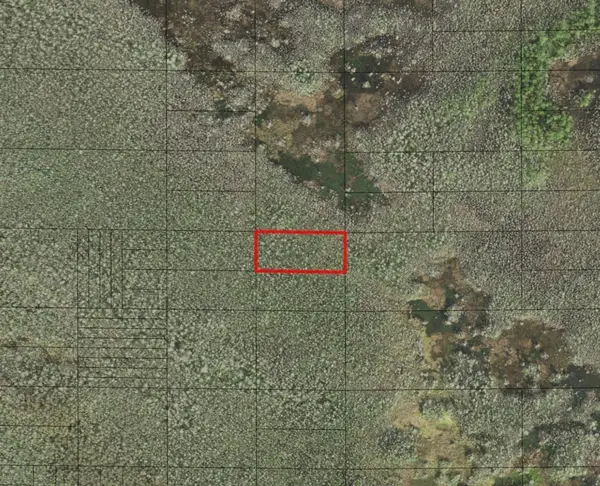 0 Holopaw Groves Road, St Cloud, FL 34772