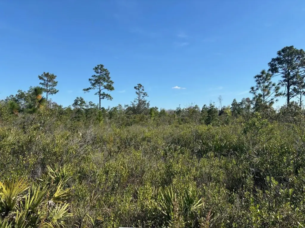 0 Holopaw Groves Road, Saint Cloud, FL 34772 - Image #1