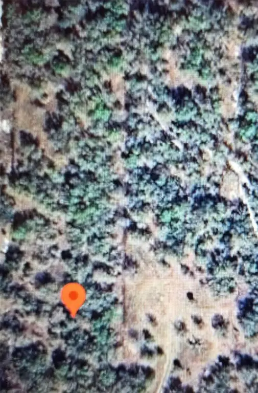 22343 NW 284th Street, Okeechobee, FL 34972 - Image #1