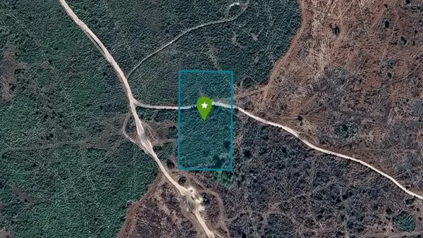 0 NW 314th Street, Okeechobee, FL 34972