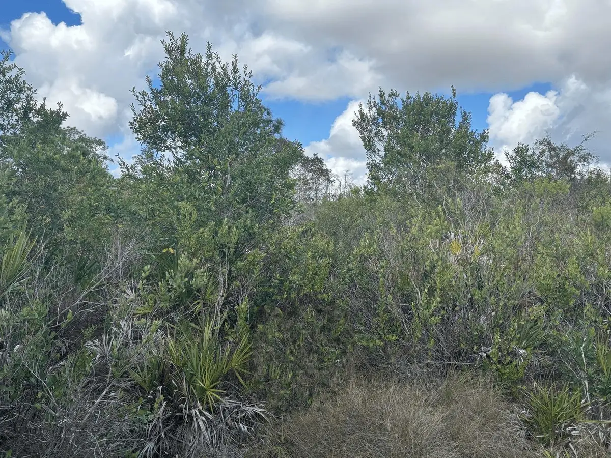 0 Holopaw Groves Road, Saint Cloud, FL 34772 - #1