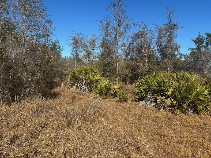 0 Xeriscape Nursery Road, Frostproof, FL 33843 - #3