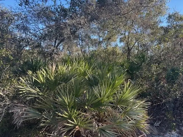 2280 93rd Court, Vero Beach, FL 32966 - #3