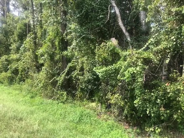 0 State Rd 33, Clermont, FL 34711