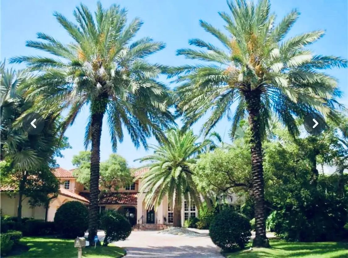 8 Harborage, Fort Lauderdale, FL 33316 - #1