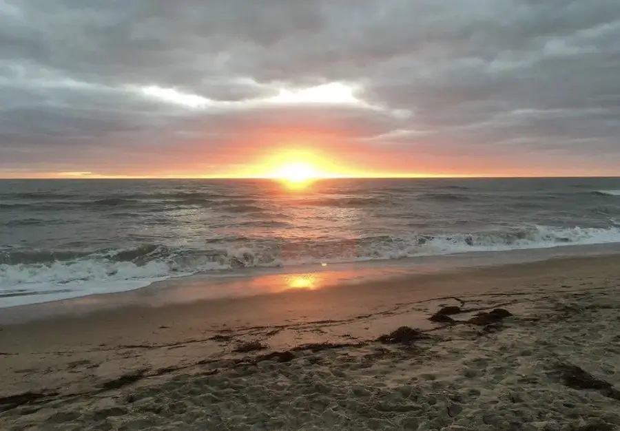 871 Osprey Lane, Hutchinson Island, FL 34949 - Image #2