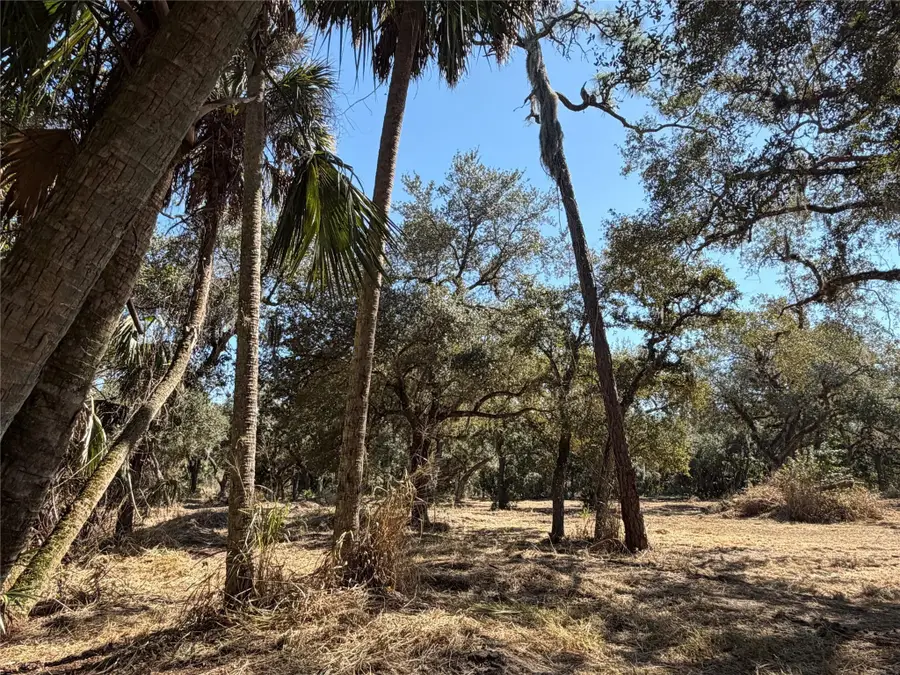 TBD SE Tbd 40th Avenue, Okeechobee, FL 34974 - #3