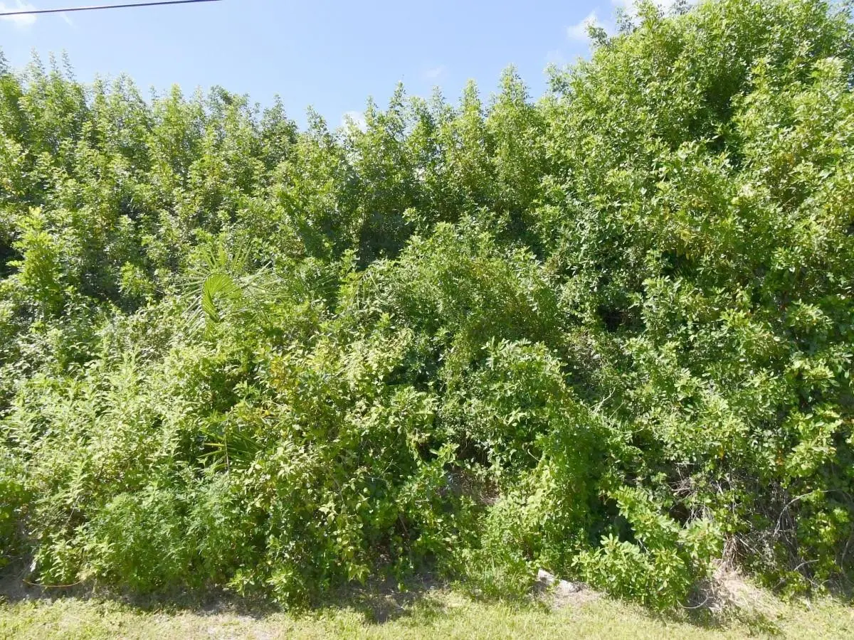 1582 SW Jacksonville Avenue, Port Saint Lucie, FL 34953 - #1