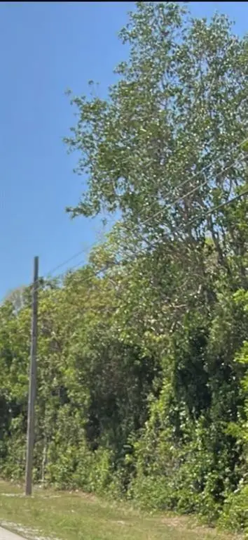 Card Ound Road, Homestead, FL 33035 - #1