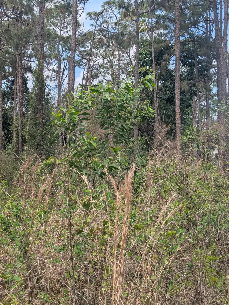 5421 Royal Palm Beach Boulevard, West Palm Beach, FL 33411 - #3