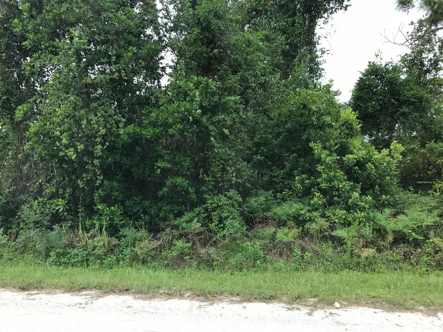 1126 Greenfield Street, Lake Placid, FL 33852 - Image #2