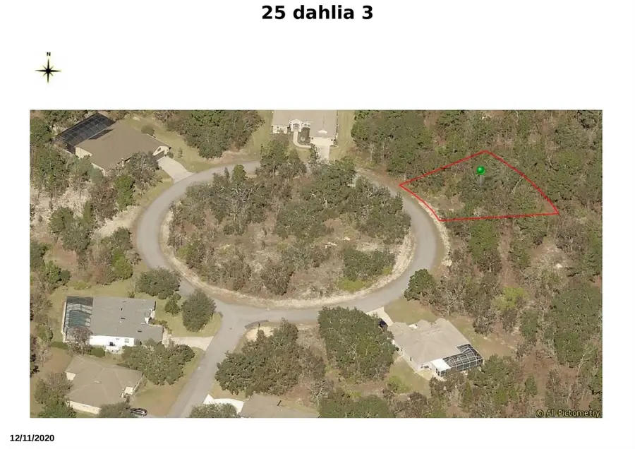 25 Dahlia Court N, Homosassa, FL 34446 - Image #3