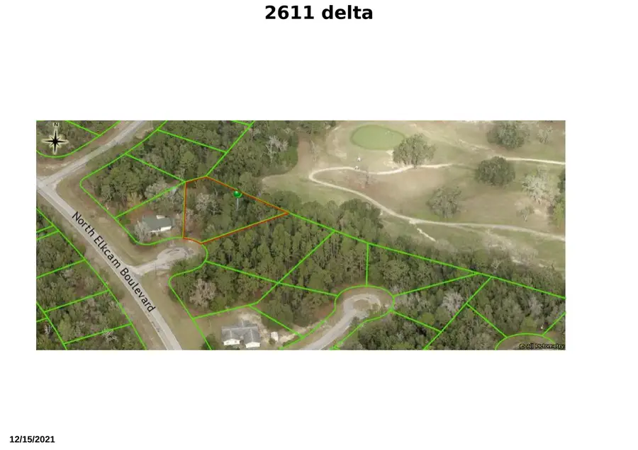 2611 W Delta Blue Court, Dunnellon, FL 34434 - #2