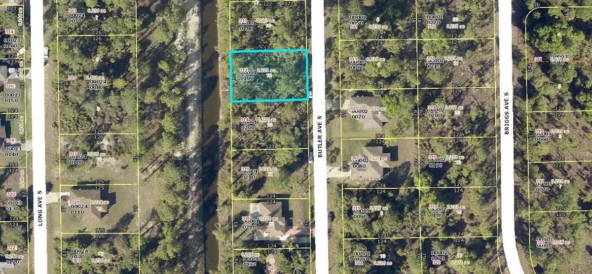 312 Butler Avenue S, Lehigh Acres, FL 33974 - #1