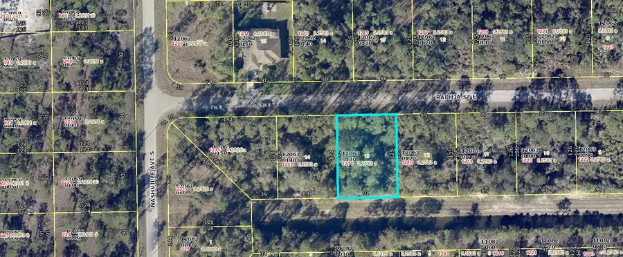 1214 Raphia Street E, Lehigh Acres, FL 33974 - #2